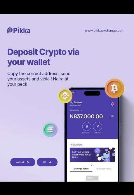 PIKKA EXCHANGE: SIMPLIFYING CRYPTO-TO-CASH TRANSACTIONS FOR NIGERIANS